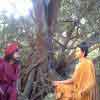 Phim con đường giác ngộ