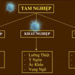 Tam nghiệp là gì?