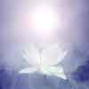 nhung dieu can thiet luc lam chung