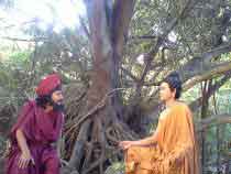 phim con duong giac ngo