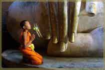 an lac trong cuoc song