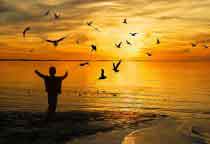 chi trong khoanh khac