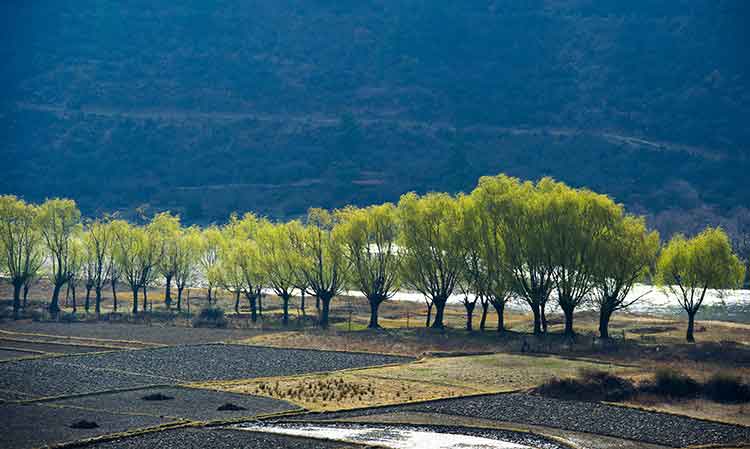 Cõi tây phương cực lạc cuối cùng ở thế gian 22 bhutan06