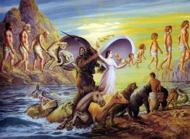 Giải đáp thắc mắc về luật nhân quả 4 Luật nhân quả