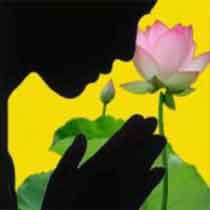 Lời tự thú của một sư cô