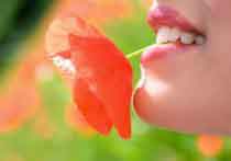 kiểm soát khẩu nghiệp