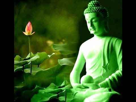 Công đức thực tập lòng Từ gấp nhiều lần xây chùa bố thí 4 Công đức thực tập lòng Từ 1