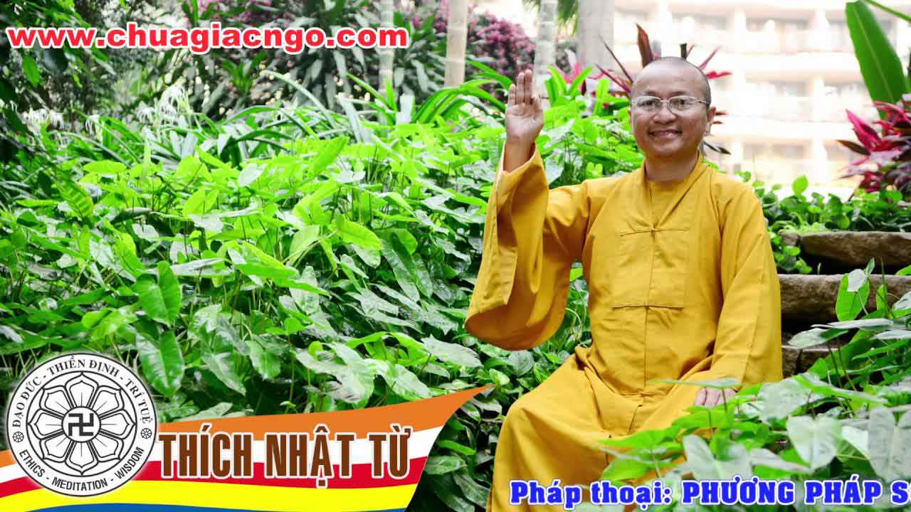 Nghệ thuật sống hoà hợp 1