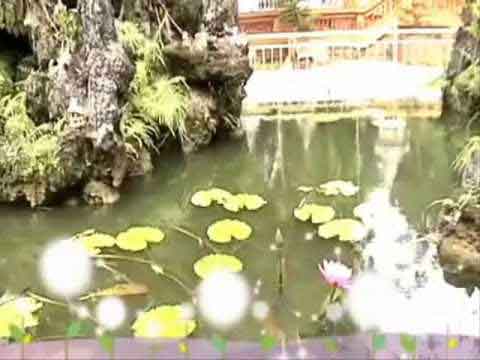 Xin đừng làm mẹ đau lòng