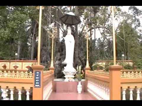 Xin Phật đưa con về