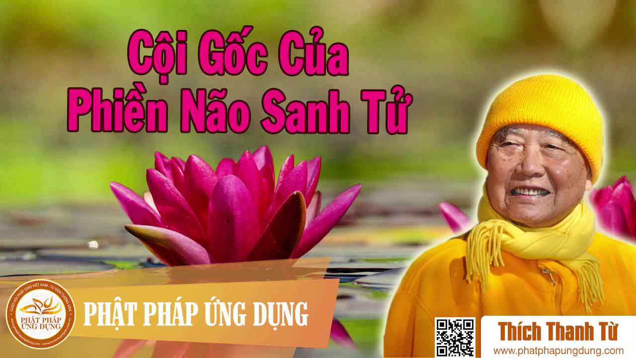 Cội gốc của phiền não sinh tử 1