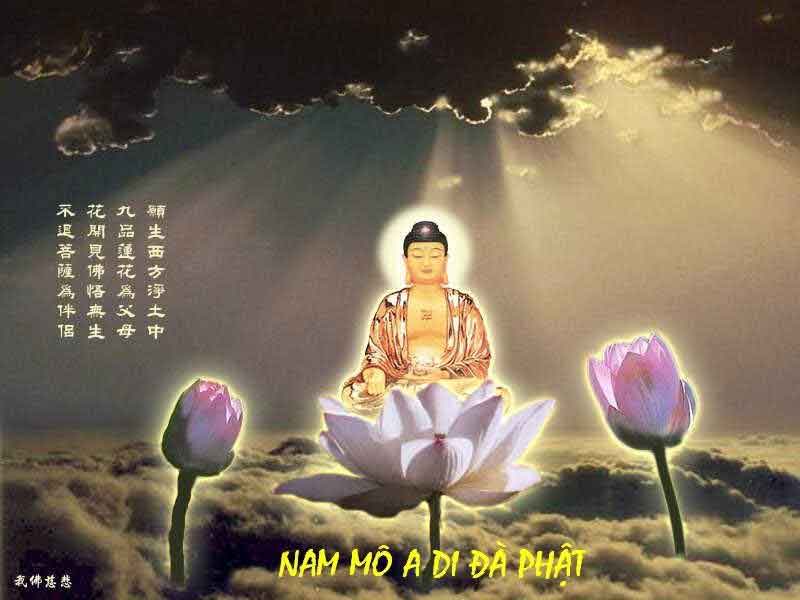 Nhạc niệm Nam Mô A Di Đà Phật 1