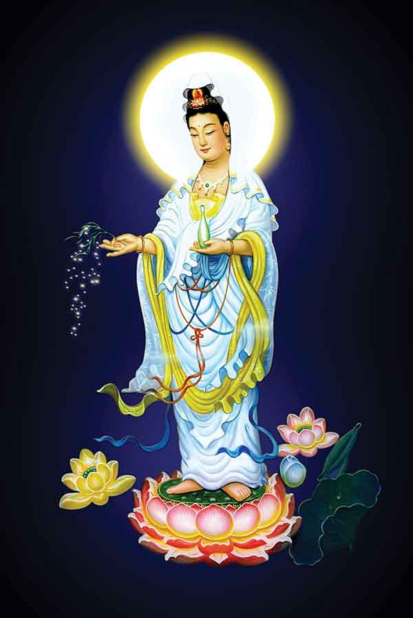 hinh bo tat quan the am