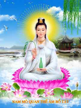 hinh bo tat quan the am