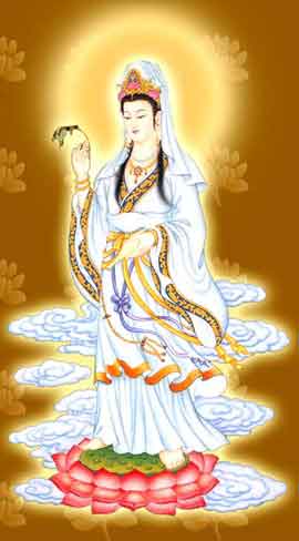 hinh bo tat quan the am