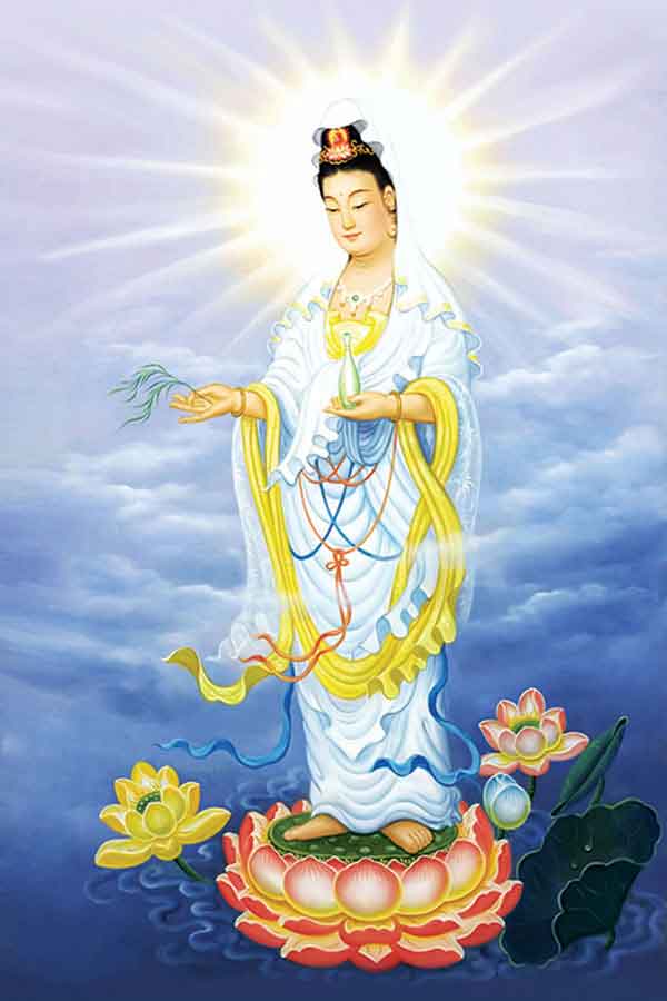 hinh bo tat quan the am