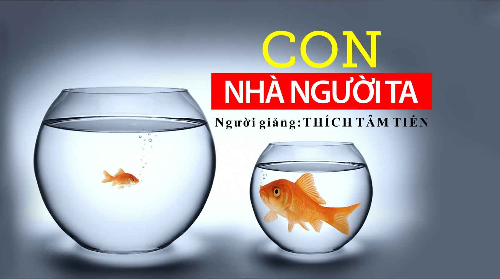 Con nhà người ta