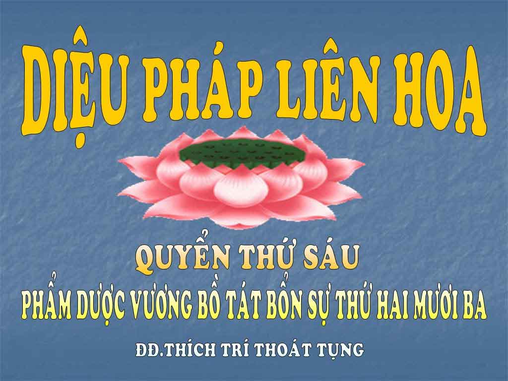 Kinh Diệu Pháp Liên Hoa phẩm Dược Vương Bồ Tát bổn sự 23 1