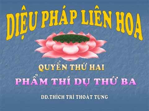 Kinh Diệu Pháp Liên Hoa phẩm phương tiện 2 1