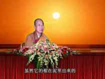 Tiêu diệt ngoại tam ác và nội tam độc