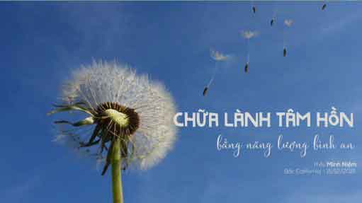 Chữa lành tâm hồn bằng năng lượng bình an