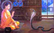 Kho tàng là rắn độc