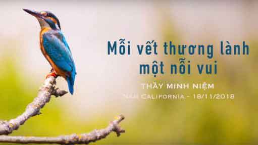 Mỗi vết thương lành một nỗi vui