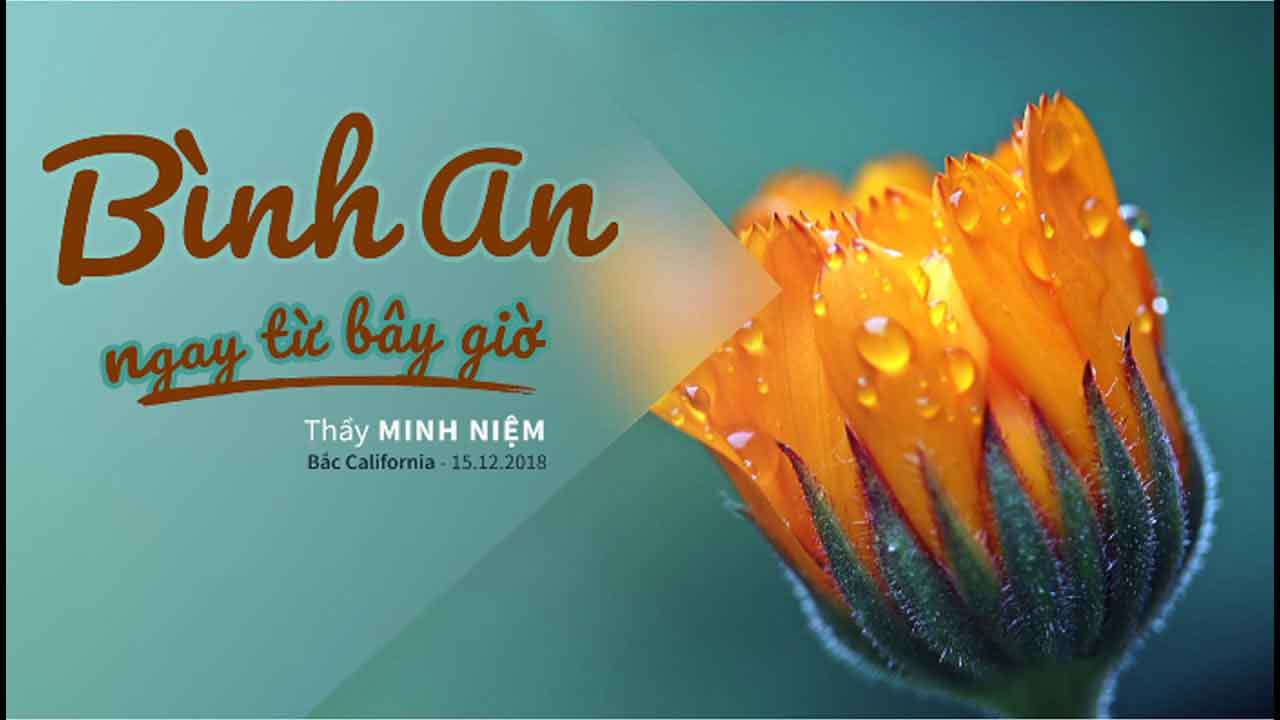 Bình an ngay từ bây giờ