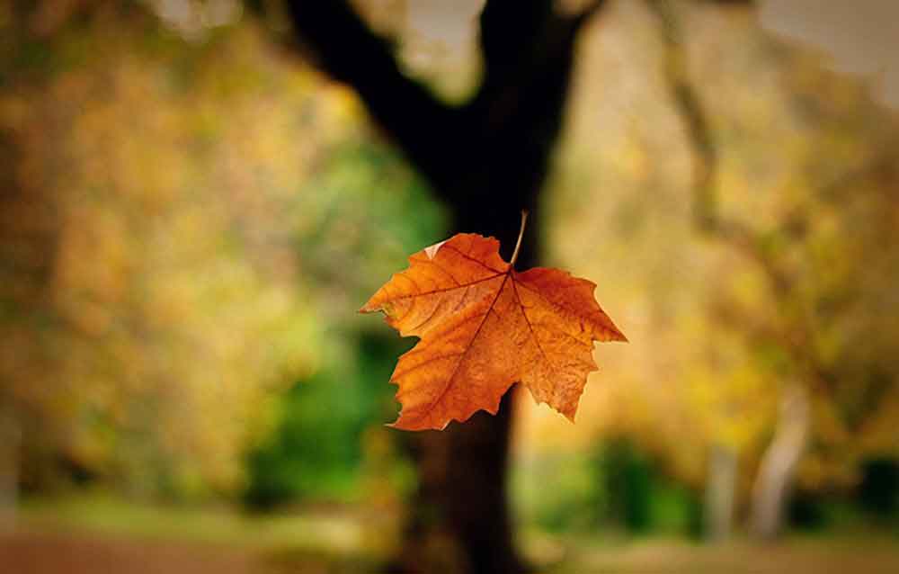 Đến một lúc nào đó... 2 đến một lúc nào đó