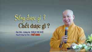 Sống được gì chết mất gì
