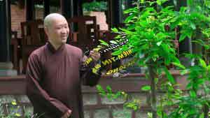 Niềm tin qua sông mê