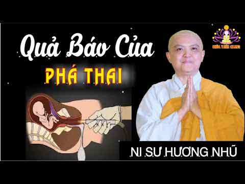 Tội ác và quả báo của nạo phá thai nhi