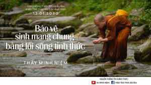 Bảo vệ sinh mạng chung bằng lối sống tỉnh thức