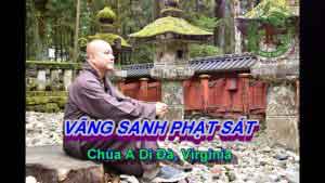 Vãng sanh Phật sát