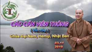 các căn viên thông