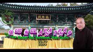 Đâu cũng là Phật Pháp