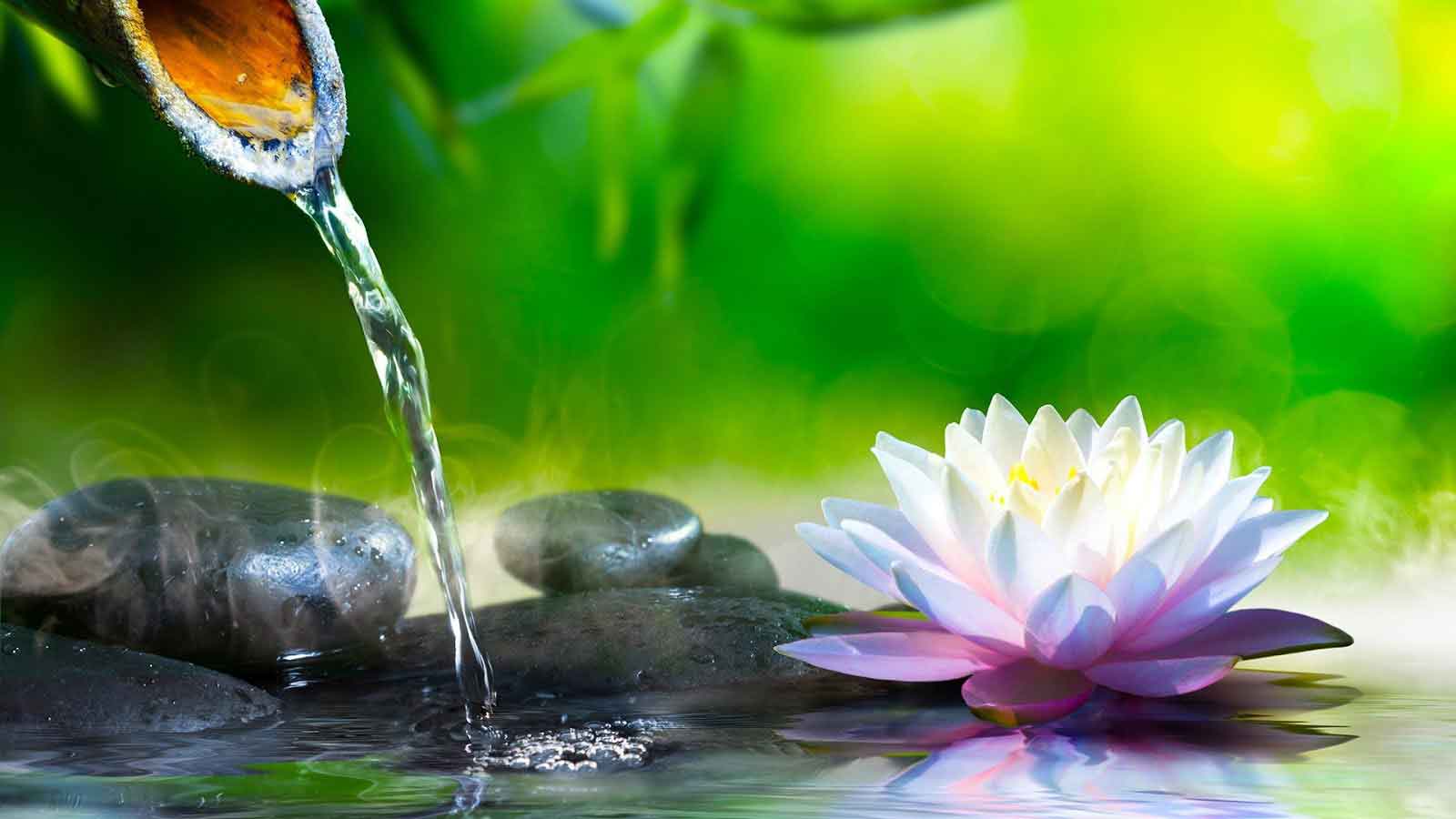 Quy luật của đời người