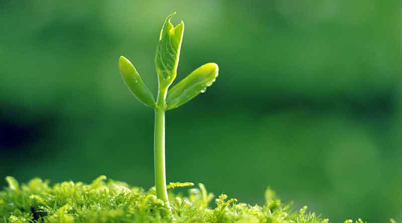 Quy luật của đời người