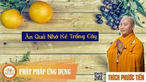 Ăn quả nhớ kẻ trồng cây