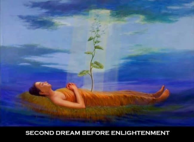 5 giấc mơ diệu kỳ của Đức Phật
