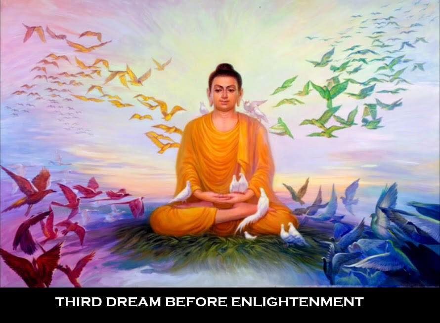 5 giấc mơ diệu kỳ của Đức Phật
