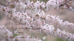 Đại thiền trà Giữ an lành cho nhau