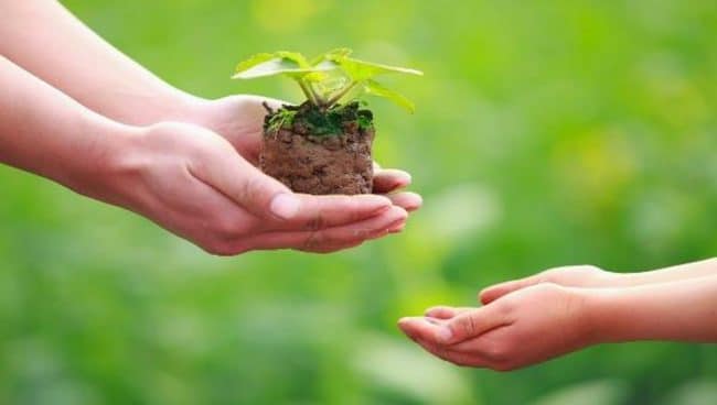 Quy luật vay trả trả vay trong cuộc sống 2 Quy luật vay trả trả vay trong cuộc sống