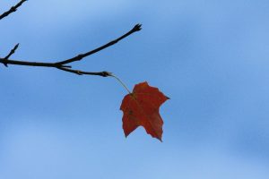 Sống hôm nay như ngày cuối trong đời