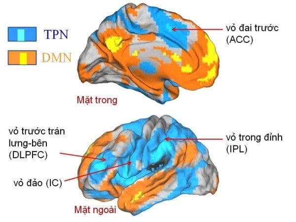 Tôi tọa thiền công án 5 Tôi tọa thiền công án