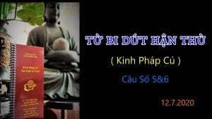 Từ bi dứt hận thù