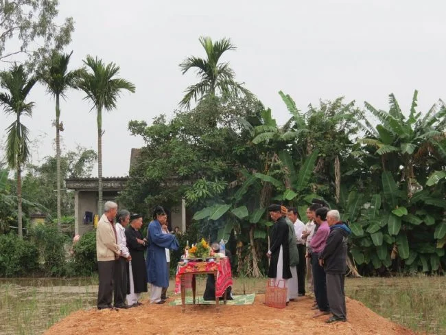 mam-cung-dong-tho-6