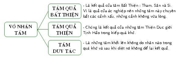 vi diệu pháp