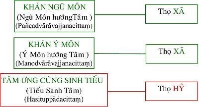 vi diệu pháp