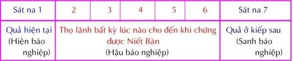 vi diệu pháp